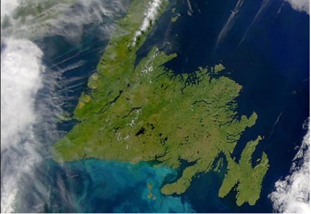 Isola di Terranova vista da un satellite