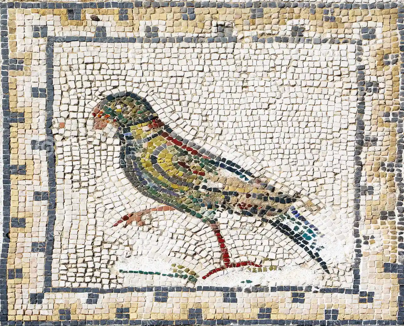 Italica, Sevilla, Spagna, mosaico romano antico che rappresenta un pappagallo dal sito archeologico