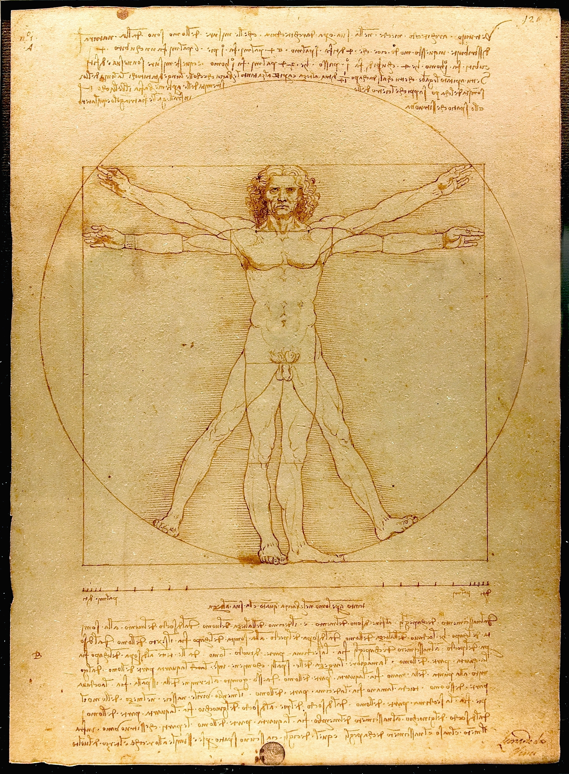 Leonardo da Vinci uomo vitruviano