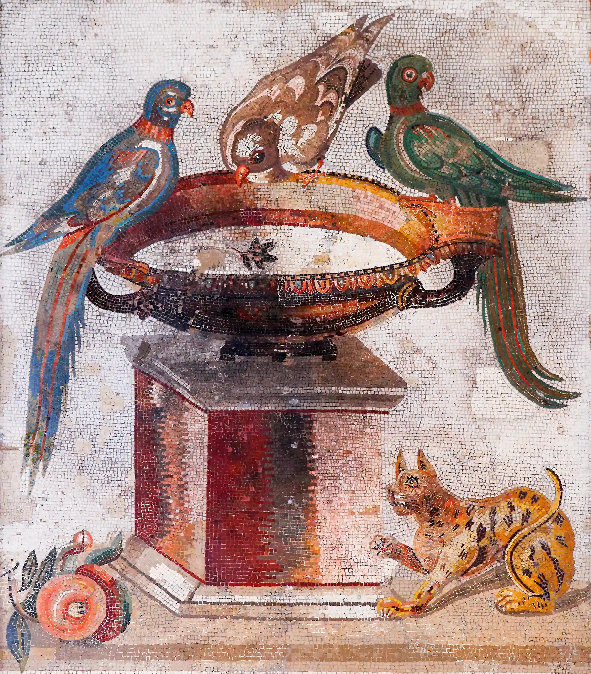 Mosaico romano, Museo Archeologico Nazionale di Napoli, uccelli che si abbeverano (Colomba, parrocchetti, un gatto e frutti)