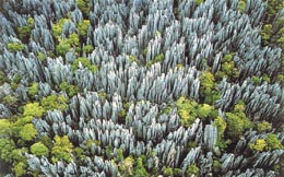 pietrificata