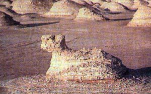 sfingesahara