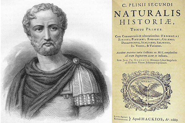 LE TRACCE DELL’AMERICA NEGLI SCRITTI DI GRECI E ROMANI