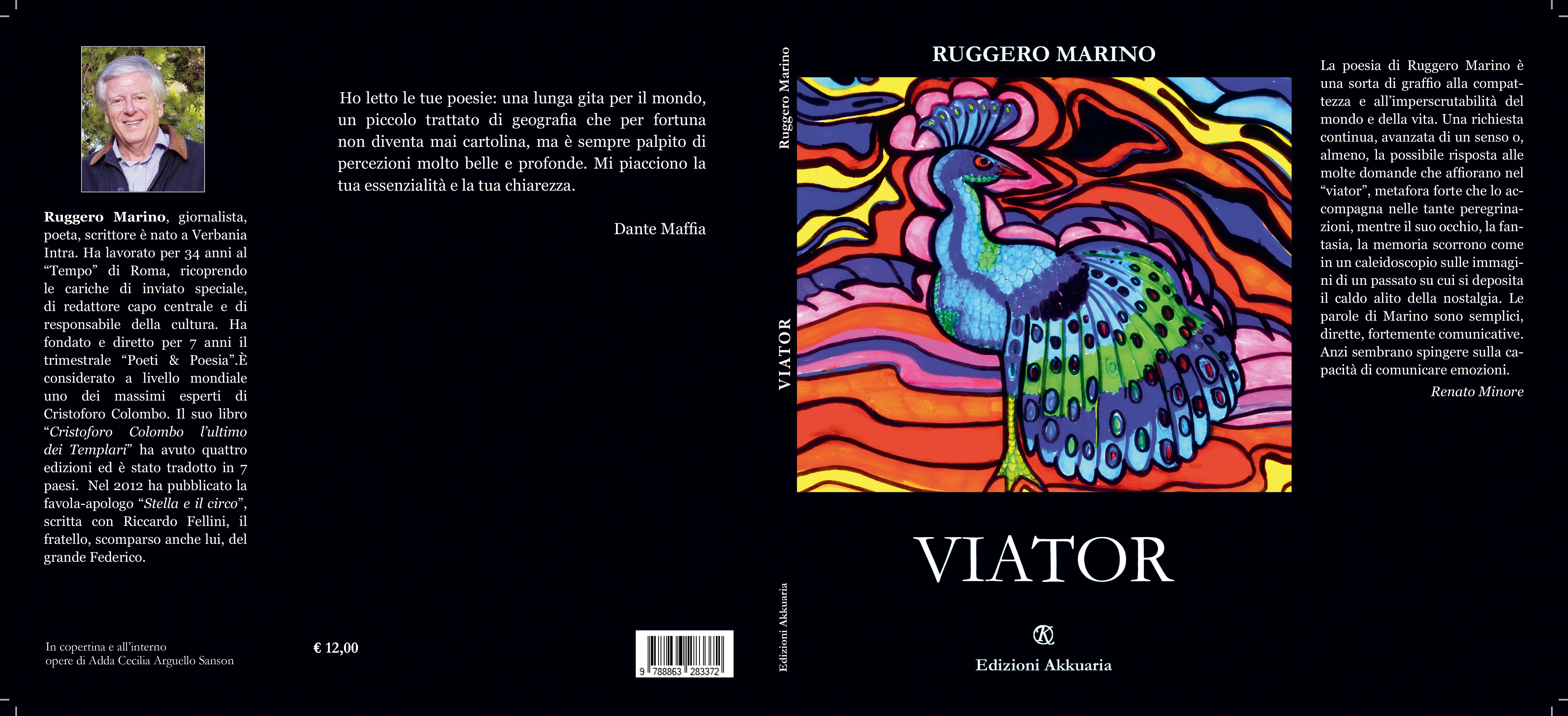 Ruggero Marino copertina libro Viator