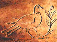Simboli del Cristianesimo colomba