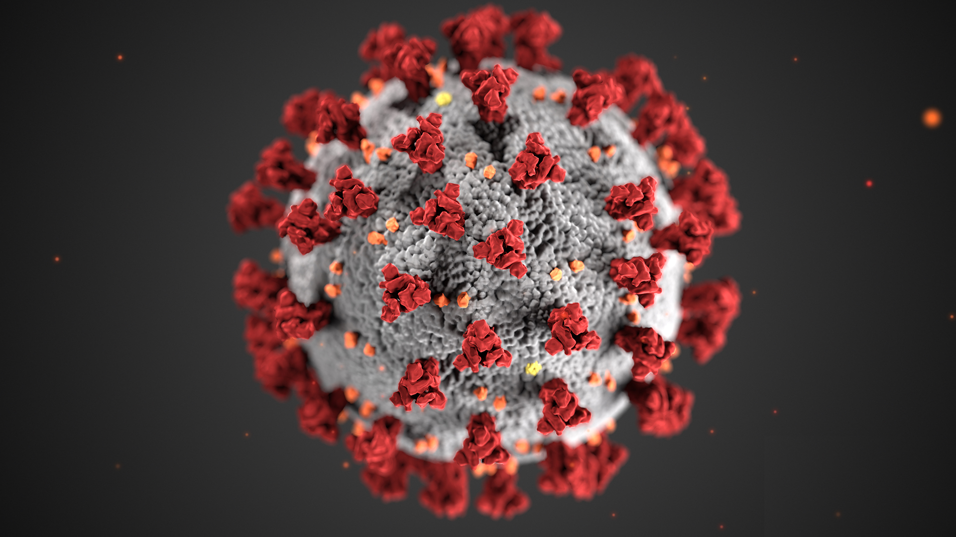 blog Coronavirus COVID 19 image