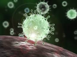blog coronavirus image virus
