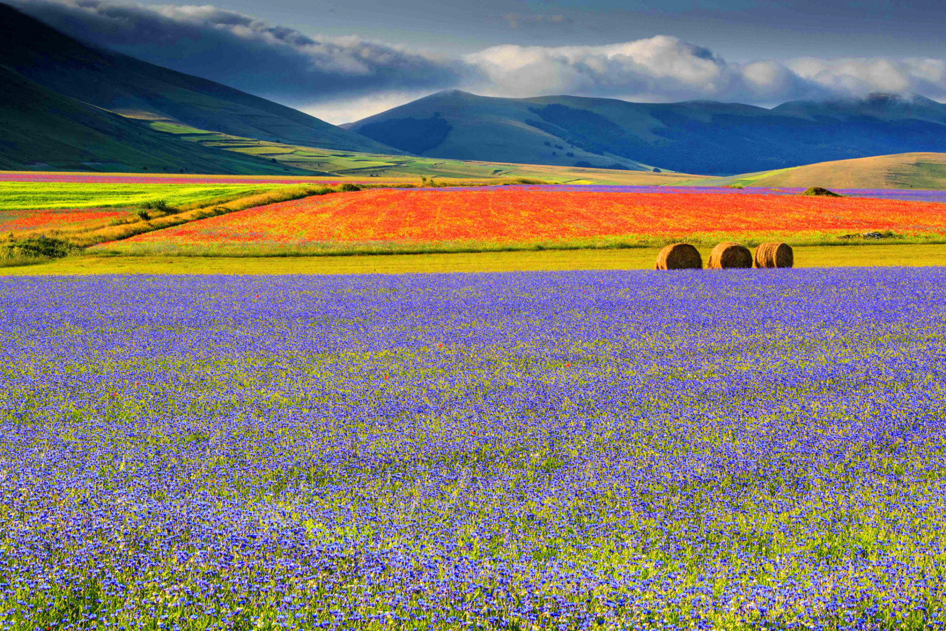 LA PRIMAVERA ESPLODE CON LA DANZA DEI FIORI