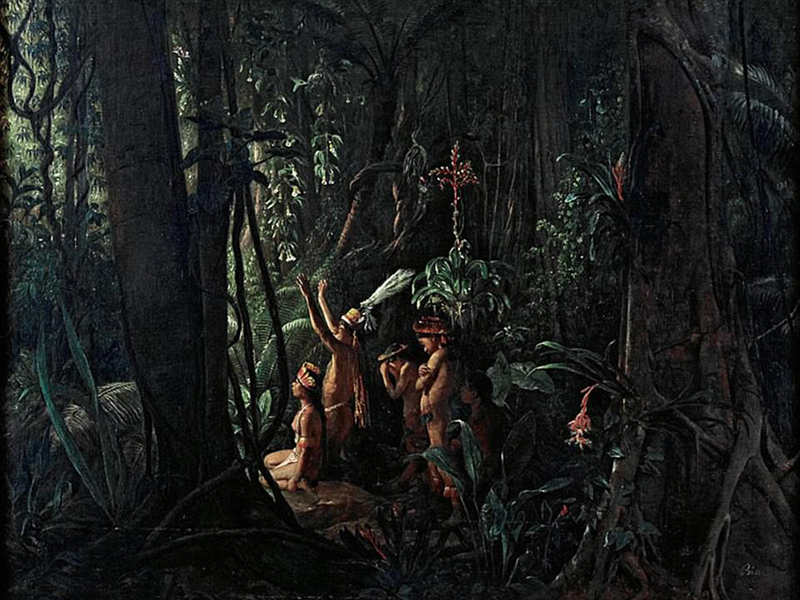 indios immagine dentro foresta