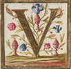 lettera V