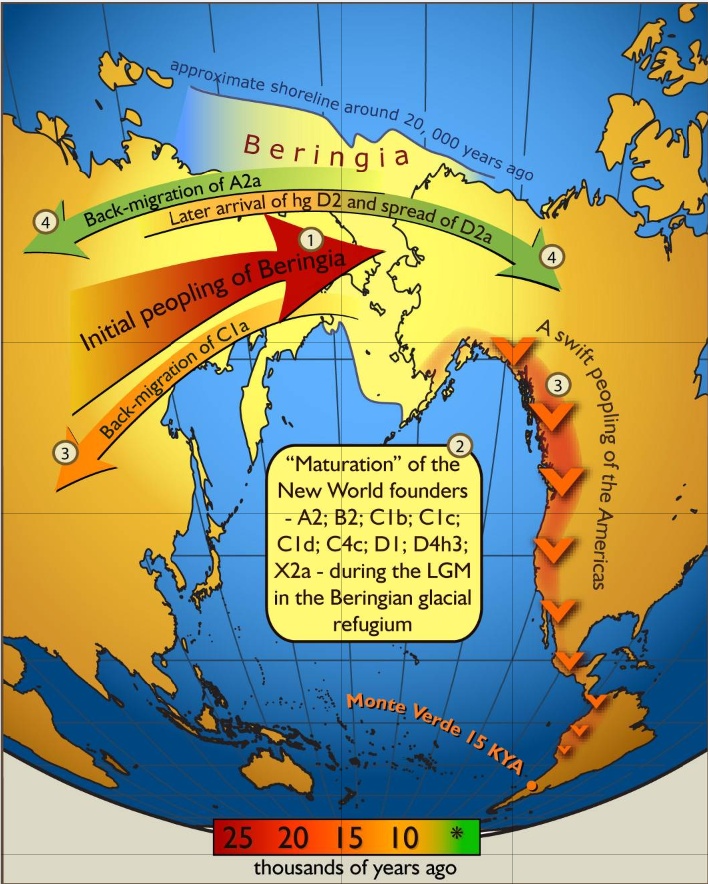 mappa Beringia 2