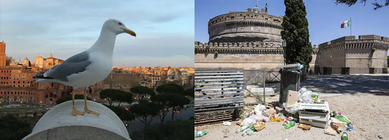 poesia - Roma Gualtieri Sindaco sporcizia 2023