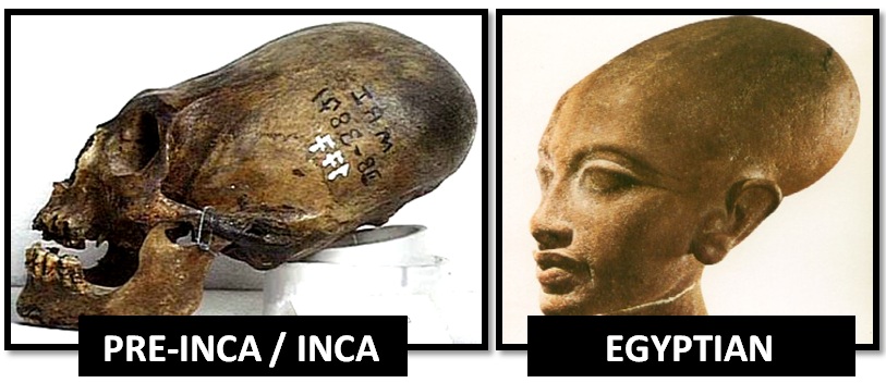 NON ANCORA RISOLTO IL MISTERO DEI CRANI ALLUNGATI NEI VARI CONTINENTI