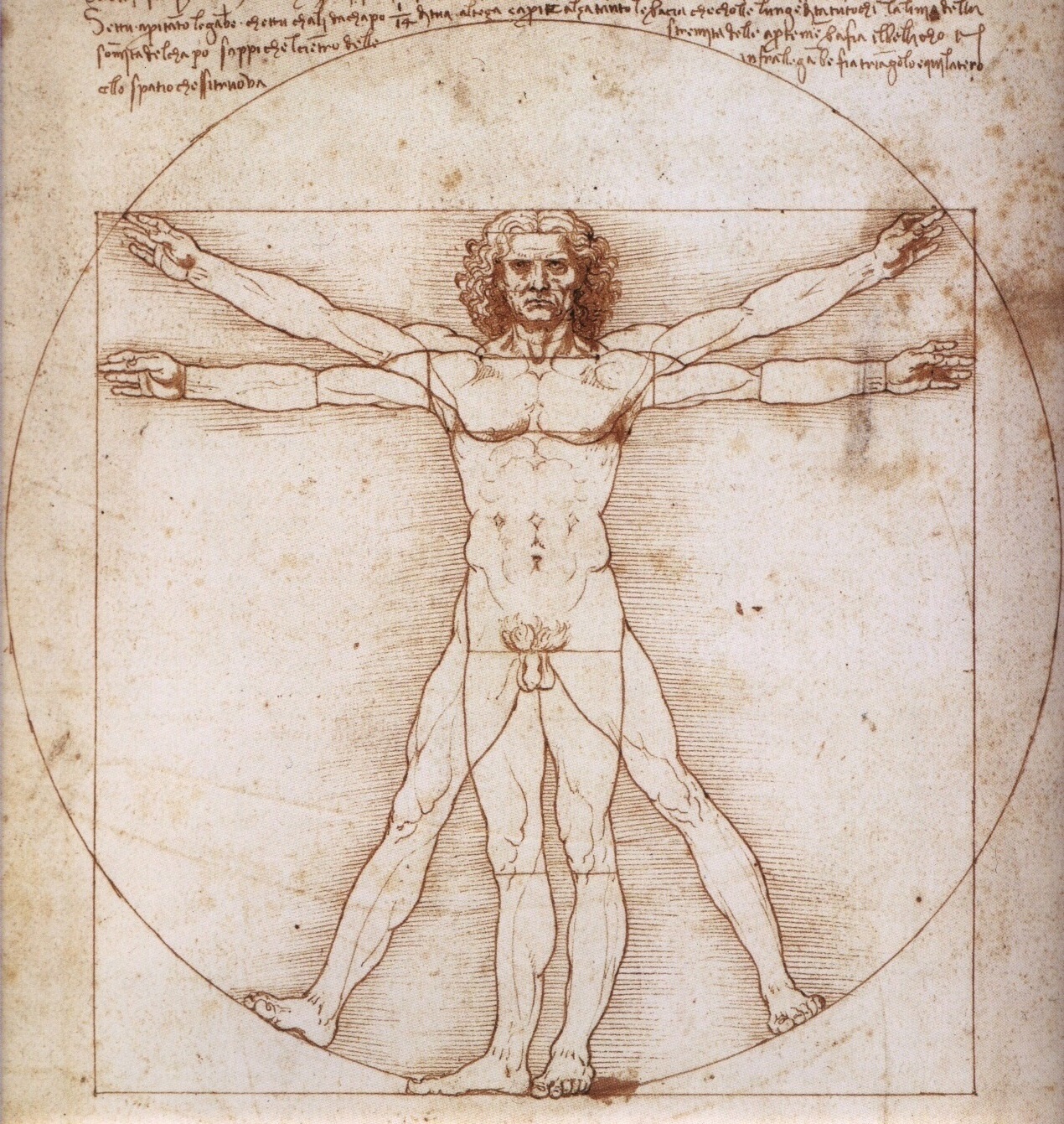 uomo vitruviano di Leonardo Da Vinci